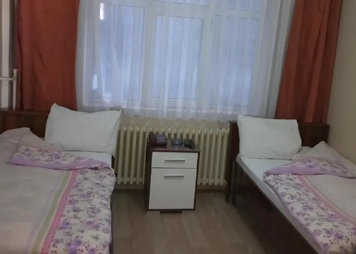 Otel Cinar